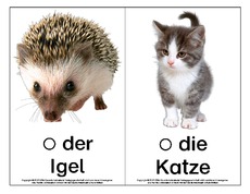 Bild-Wort-Karten-Tiere-B.pdf